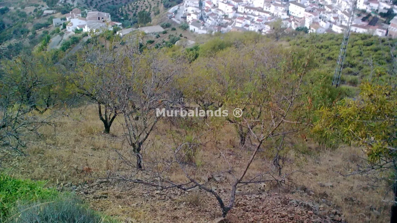 Foto del anuncio Ref. 00005403
