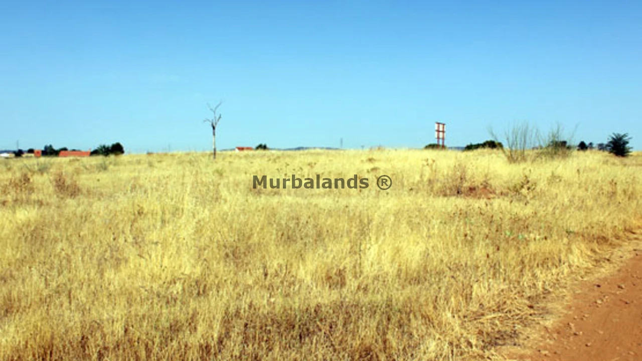 Foto de un terreno o una obra parada para mostrar en el detalle del inmueble