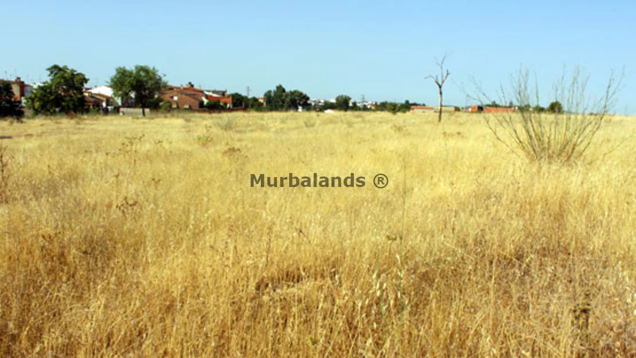 Foto de un terreno o una obra parada para mostrar en el detalle del inmueble
