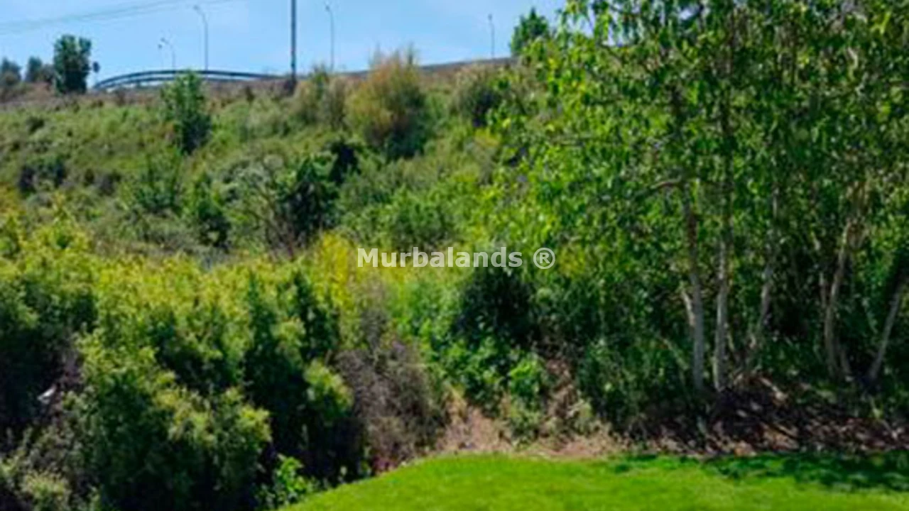 Foto de un terreno o una obra parada para mostrar en el detalle del inmueble