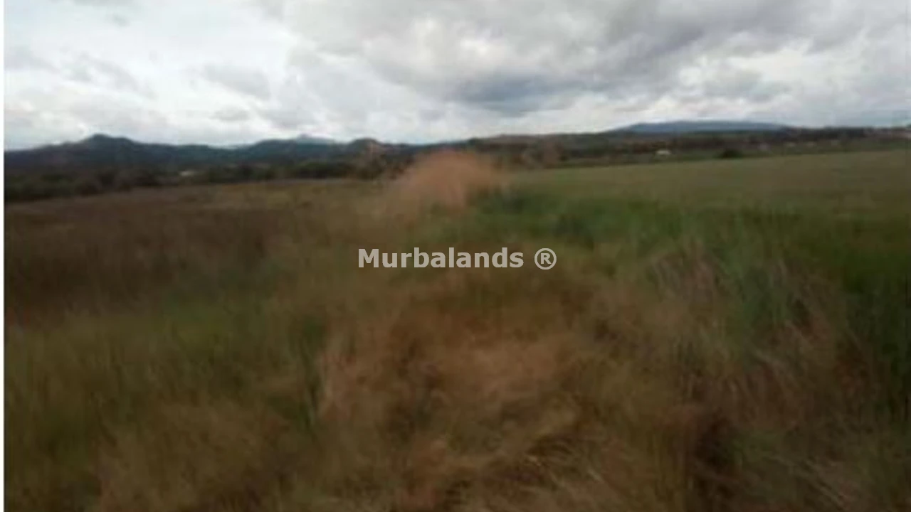 Foto de un terreno o una obra parada para mostrar en el detalle del inmueble