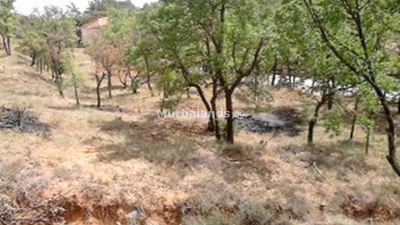 Foto de un terreno o una obra parada para mostrar en el detalle del inmueble
