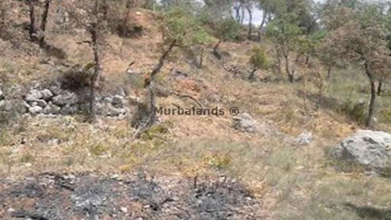 Foto de un terreno o una obra parada para mostrar en el detalle del inmueble