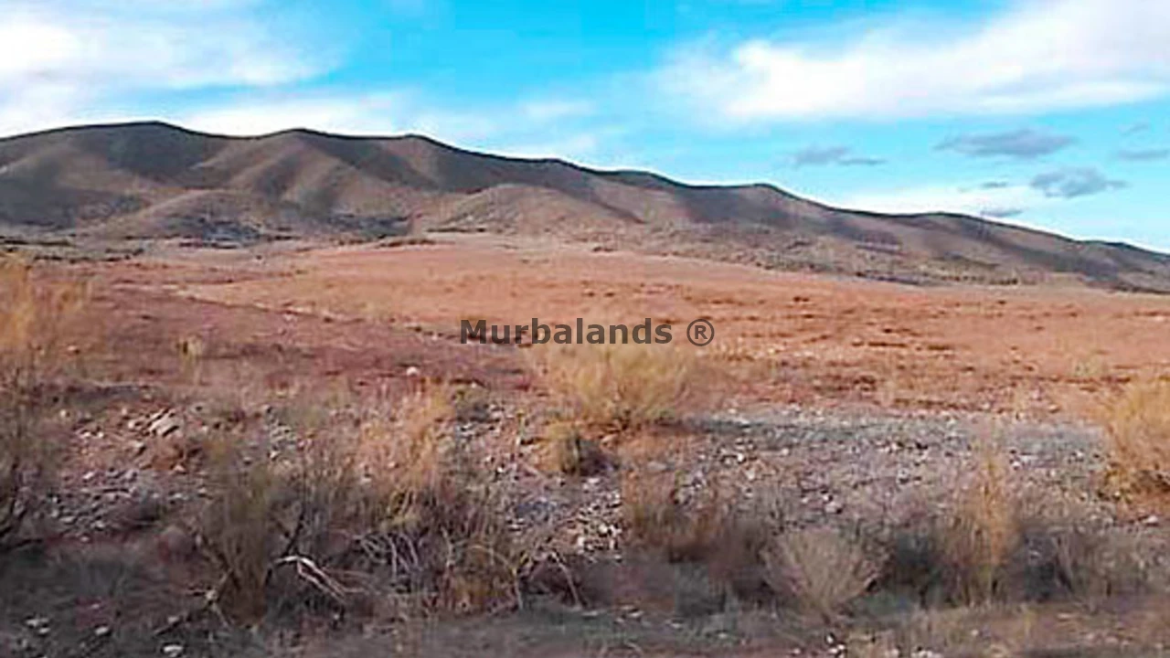 Foto de un terreno o una obra parada para mostrar en el detalle del inmueble