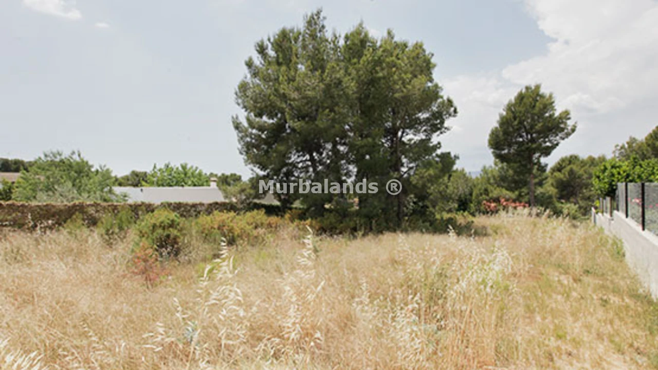Foto de un terreno o una obra parada para mostrar en el detalle del inmueble