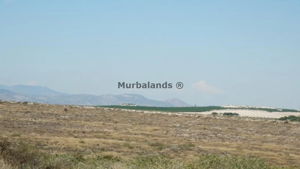 Terreno destacado
