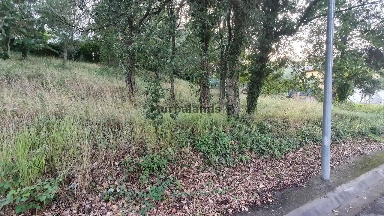 Terreno destacado