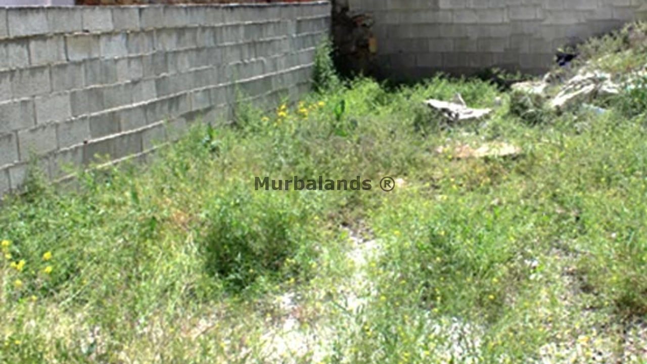 Foto de un terreno o una obra parada para mostrar en el detalle del inmueble