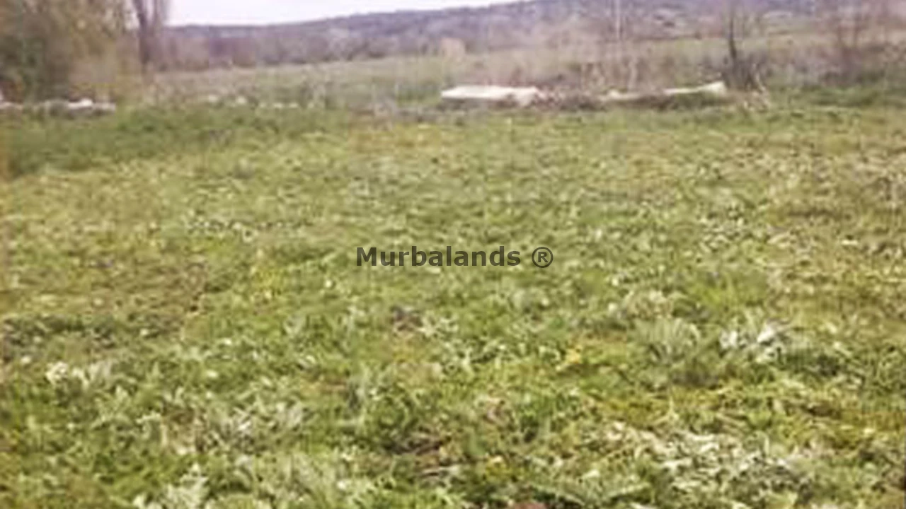 Foto de un terreno o una obra parada para mostrar en el detalle del inmueble