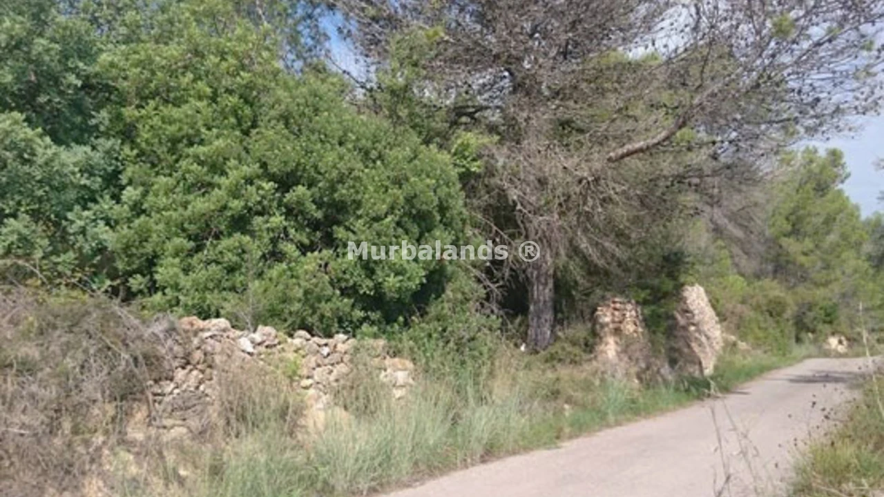 Foto de un terreno o una obra parada para mostrar en el detalle del inmueble