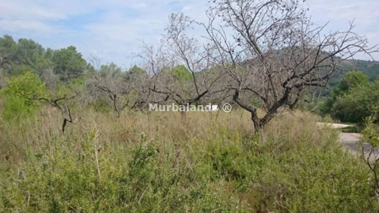 Foto de un terreno o una obra parada para mostrar en el detalle del inmueble