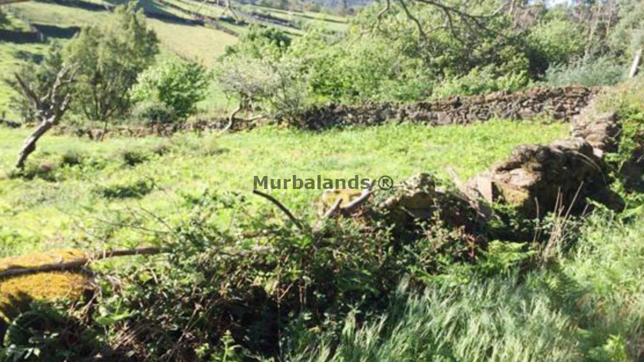 Foto de un terreno o una obra parada para mostrar en el detalle del inmueble