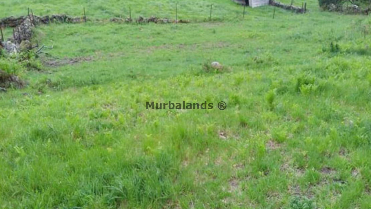 Foto de un terreno o una obra parada para mostrar en el detalle del inmueble