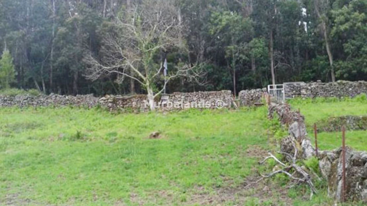 Foto de un terreno o una obra parada para mostrar en el detalle del inmueble