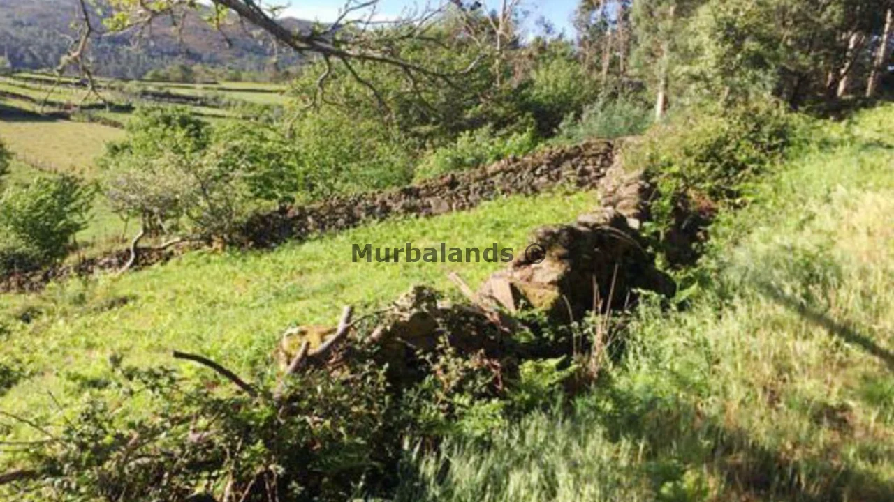 Foto de un terreno o una obra parada para mostrar en el detalle del inmueble