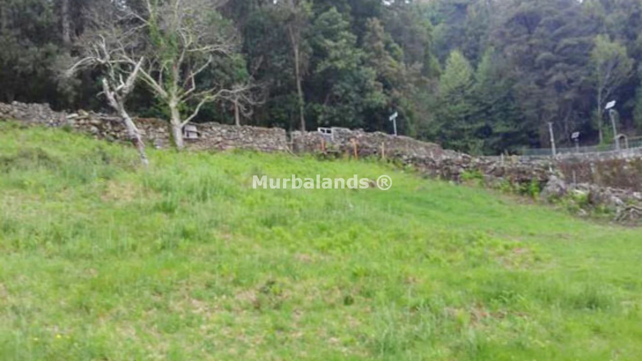 Foto de un terreno o una obra parada para mostrar en el detalle del inmueble