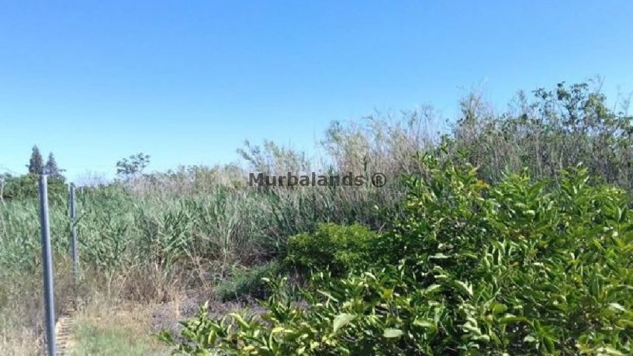 Foto de un terreno o una obra parada para mostrar en el detalle del inmueble
