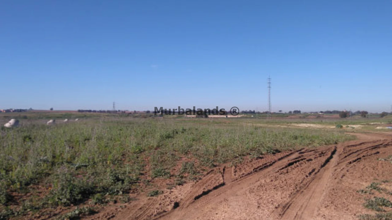 Foto de un terreno o una obra parada para mostrar en el detalle del inmueble