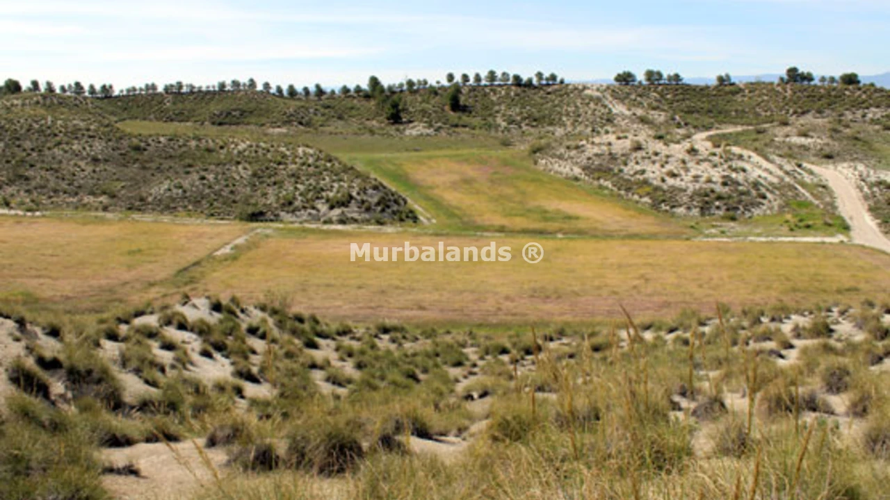 Terreno destacado