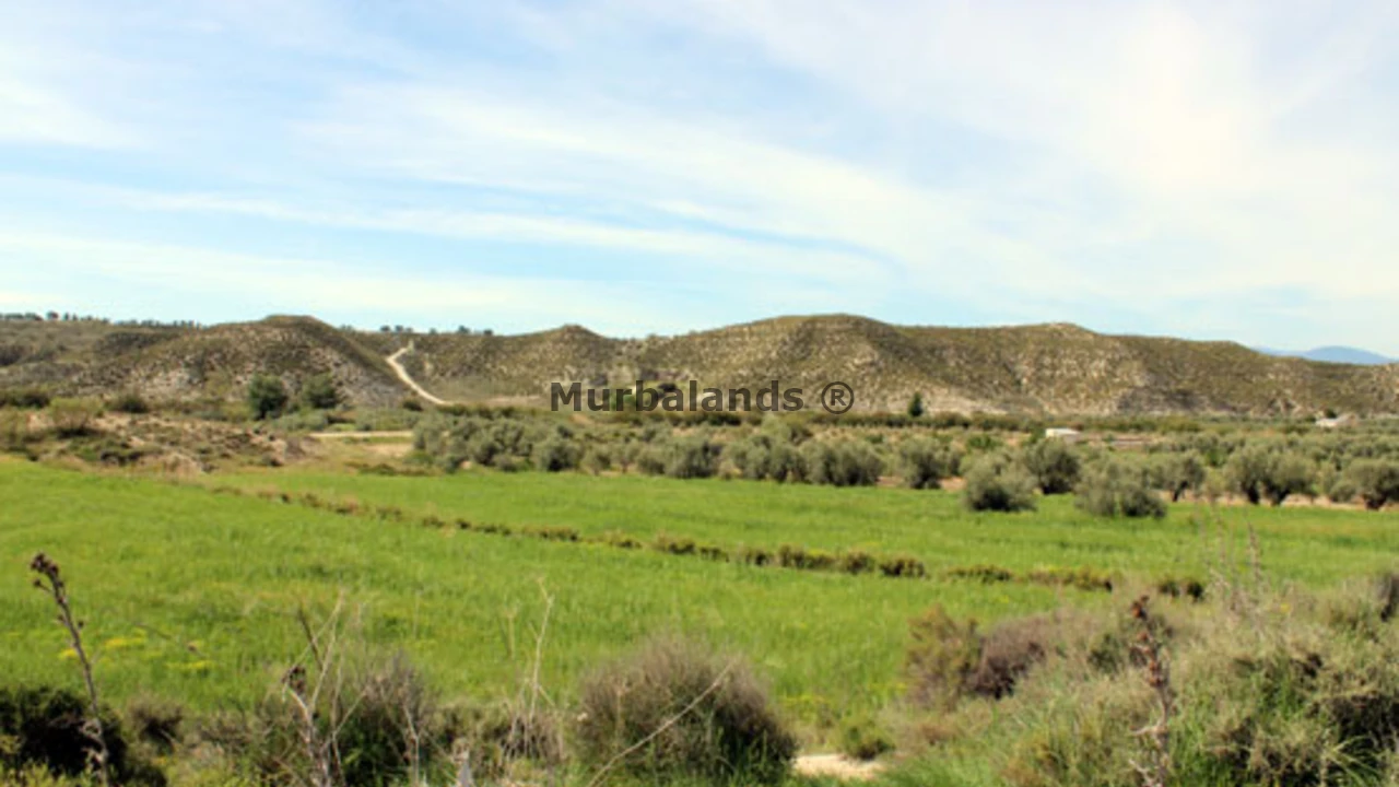 Foto de un terreno o una obra parada para mostrar en el detalle del inmueble