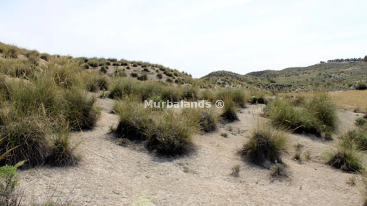Foto de un terreno o una obra parada para mostrar en el detalle del inmueble