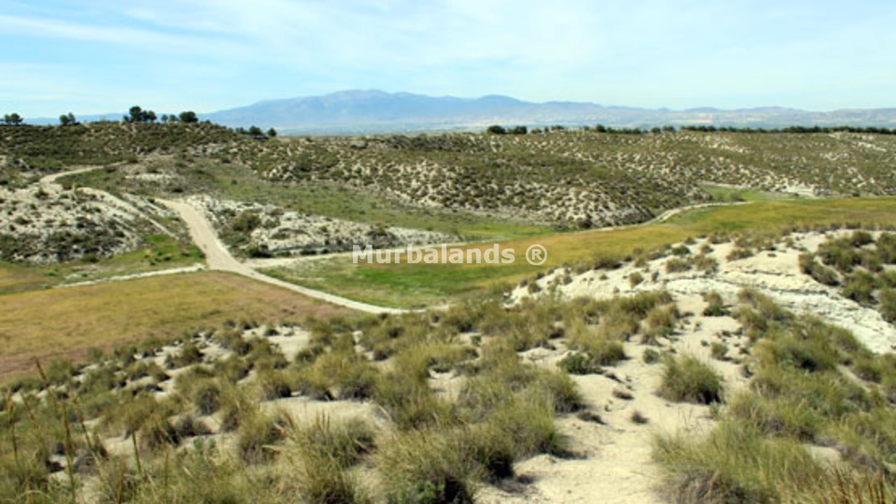 Foto de un terreno o una obra parada para mostrar en el detalle del inmueble