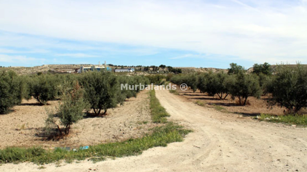 Foto de un terreno o una obra parada para mostrar en el detalle del inmueble