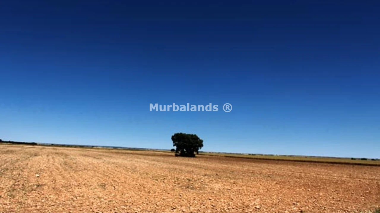 Foto de un terreno o una obra parada para mostrar en el detalle del inmueble