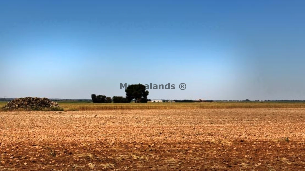 Foto de un terreno o una obra parada para mostrar en el detalle del inmueble