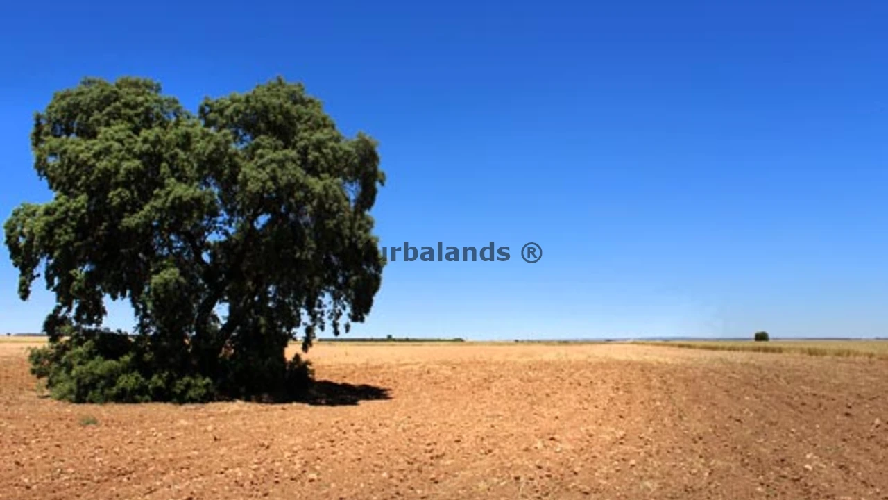 Foto de un terreno o una obra parada para mostrar en el detalle del inmueble