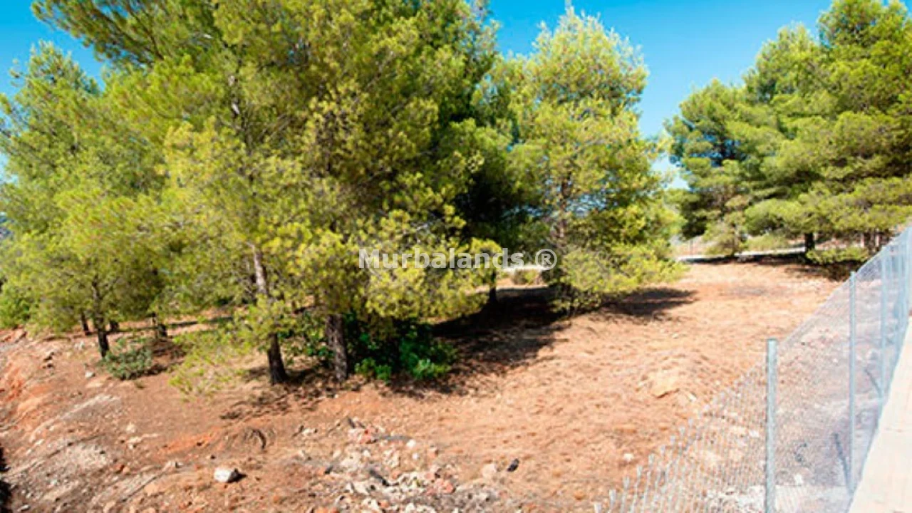 Foto de un terreno o una obra parada para mostrar en el detalle del inmueble