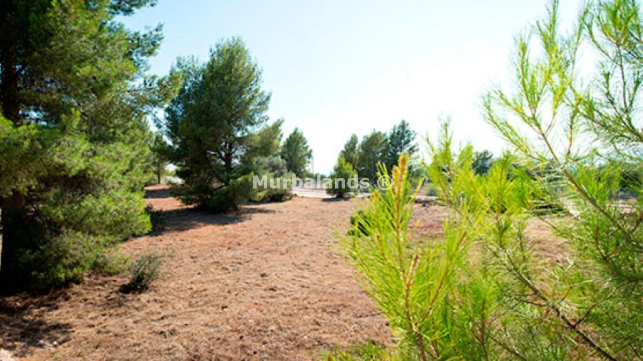Foto de un terreno o una obra parada para mostrar en el detalle del inmueble
