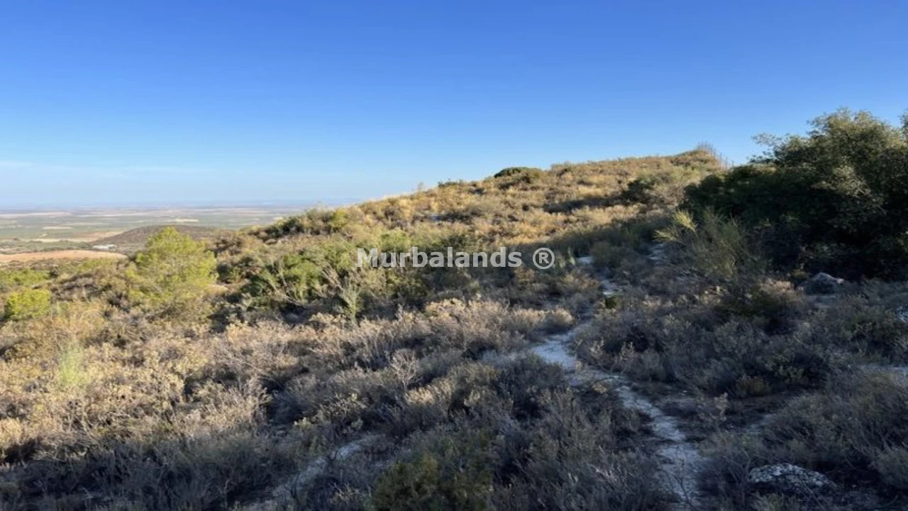 Foto de un terreno o una obra parada para mostrar en el detalle del inmueble