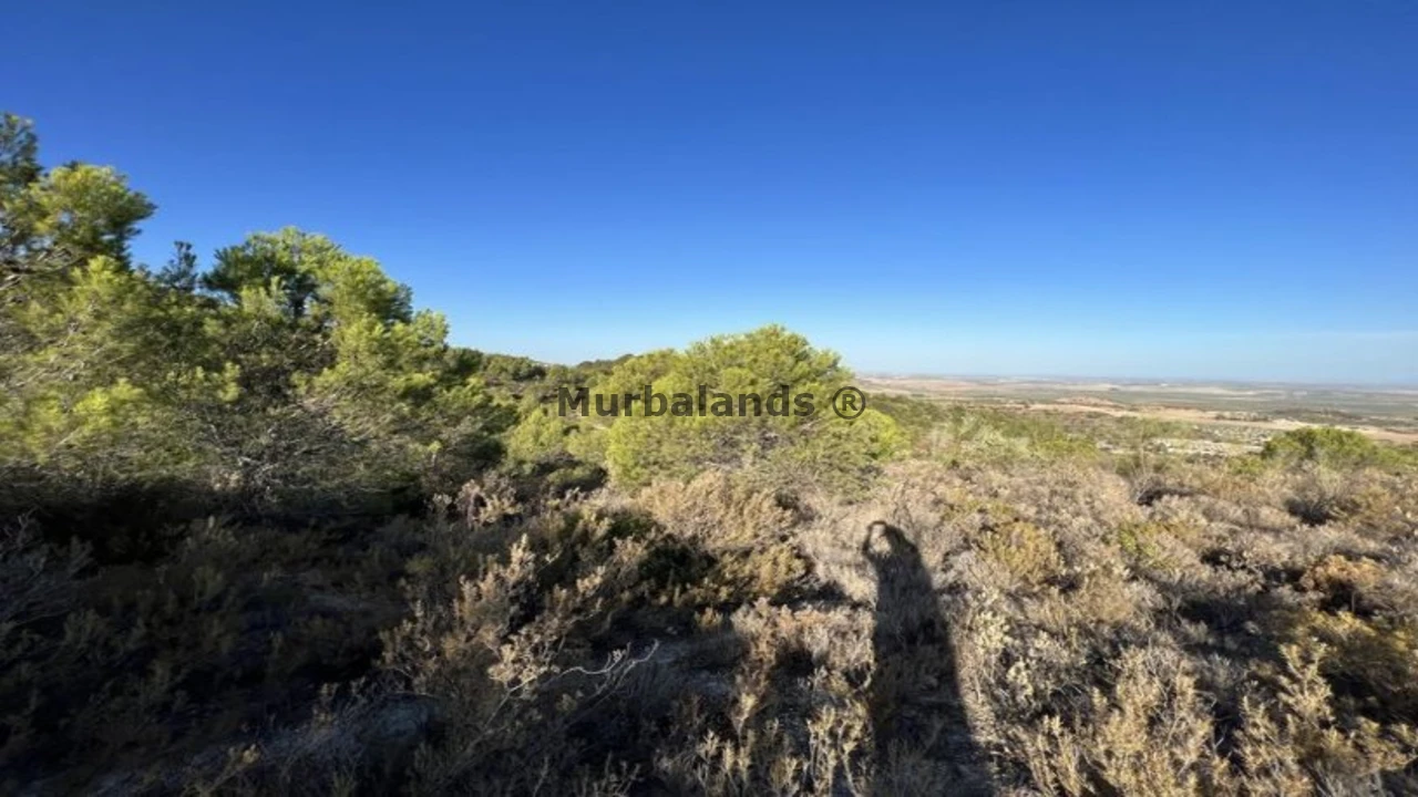 Foto de un terreno o una obra parada para mostrar en el detalle del inmueble