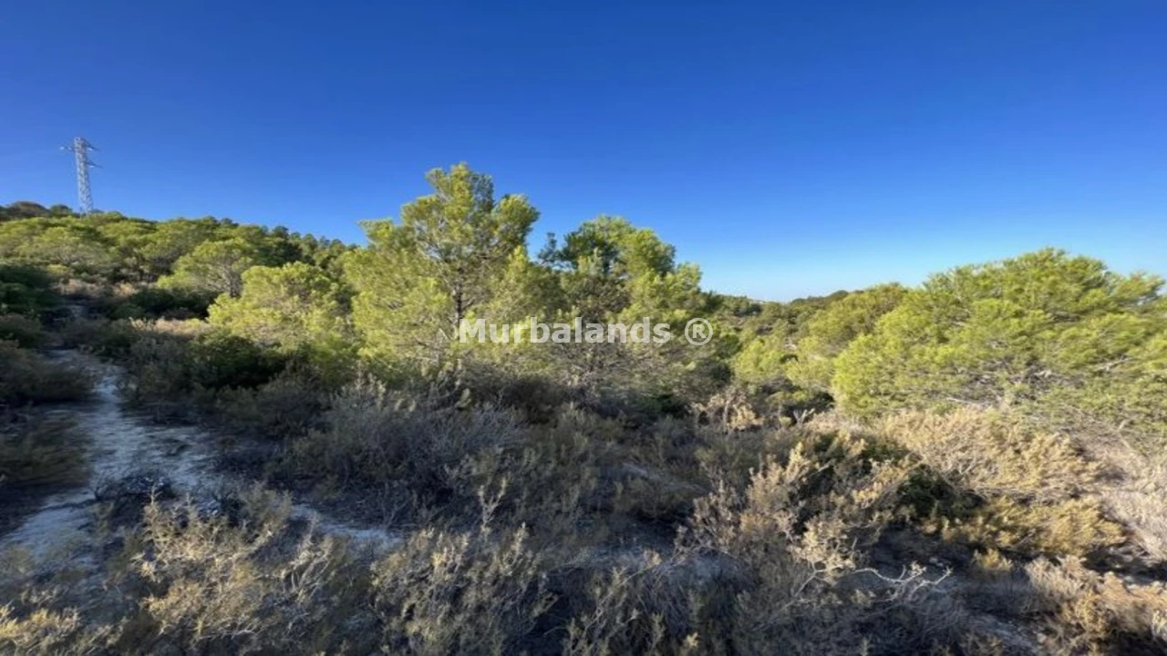 Foto de un terreno o una obra parada para mostrar en el detalle del inmueble