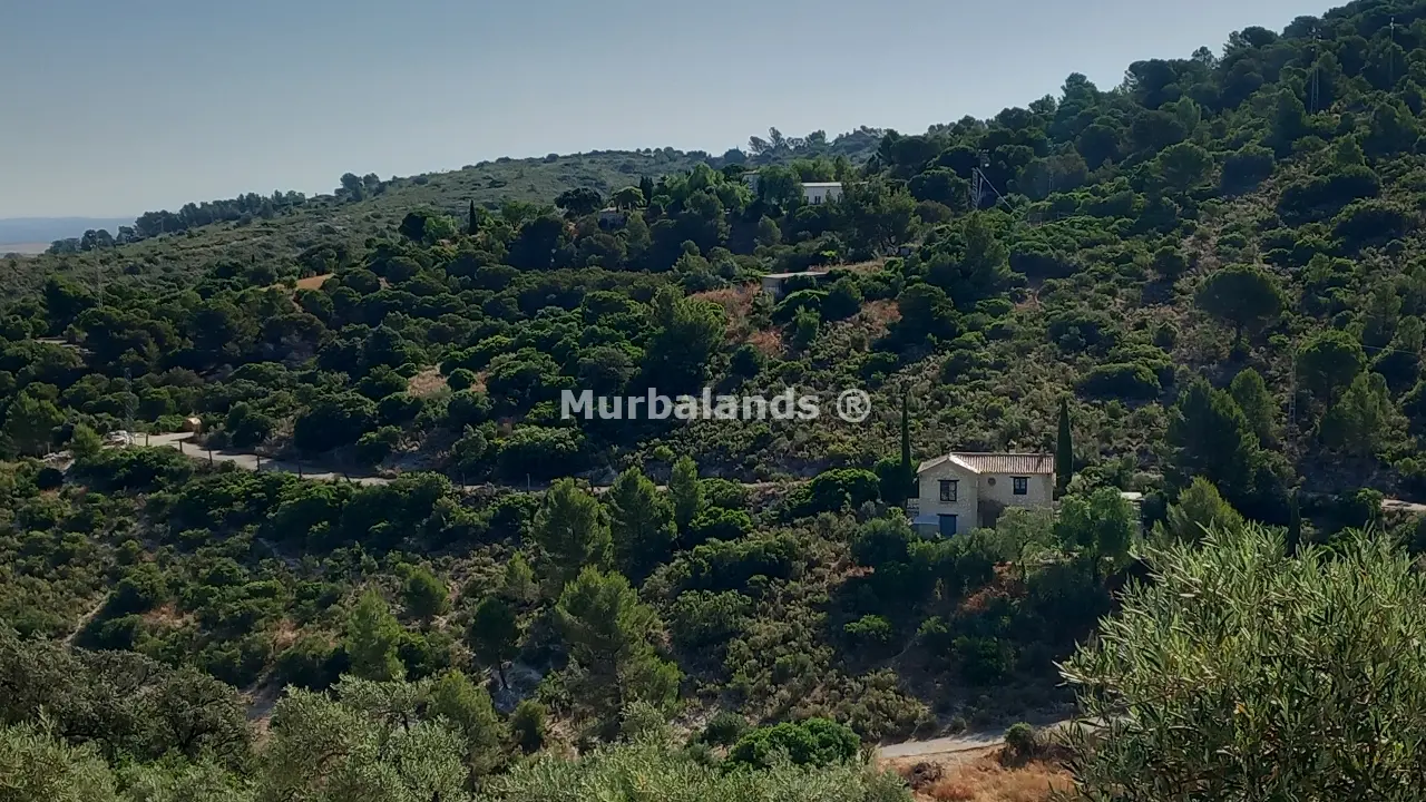 Foto de un terreno o una obra parada para mostrar en el detalle del inmueble