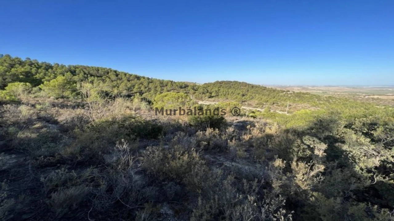 Foto de un terreno o una obra parada para mostrar en el detalle del inmueble