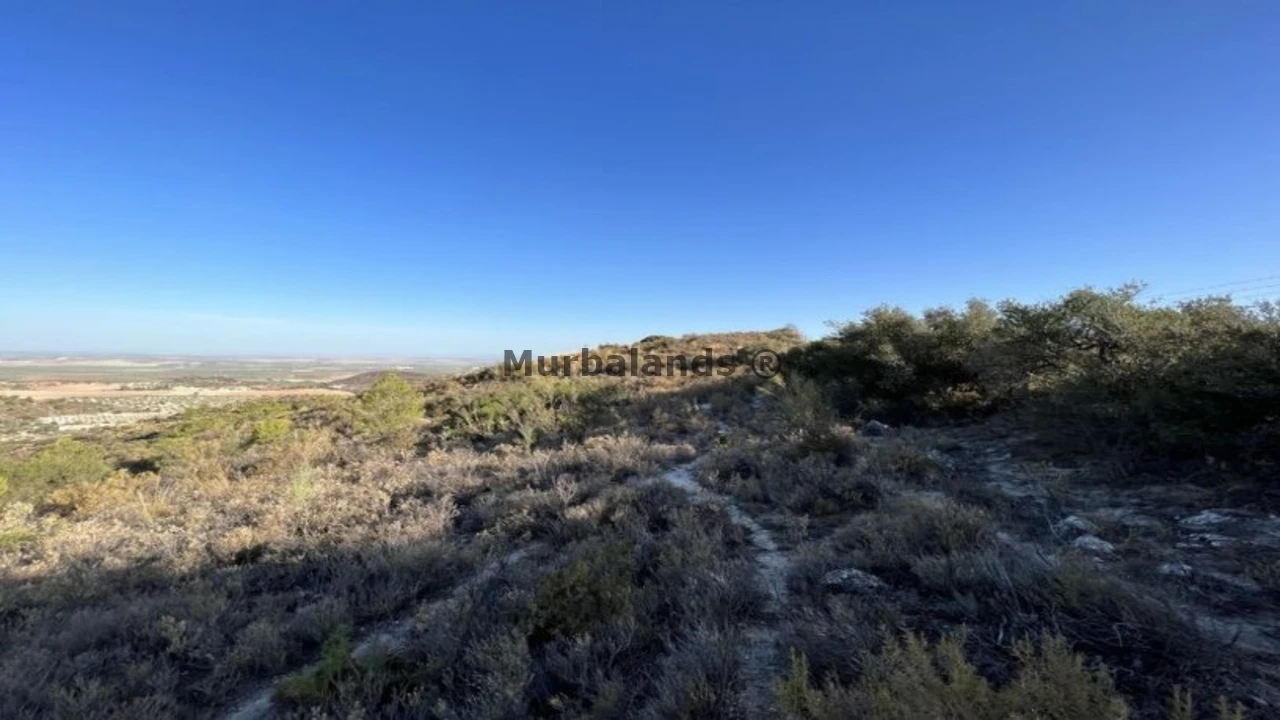 Foto de un terreno o una obra parada para mostrar en el detalle del inmueble