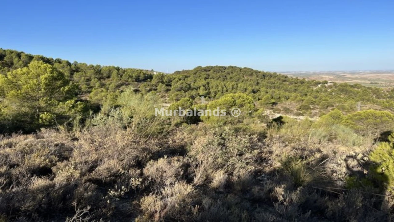 Foto de un terreno o una obra parada para mostrar en el detalle del inmueble