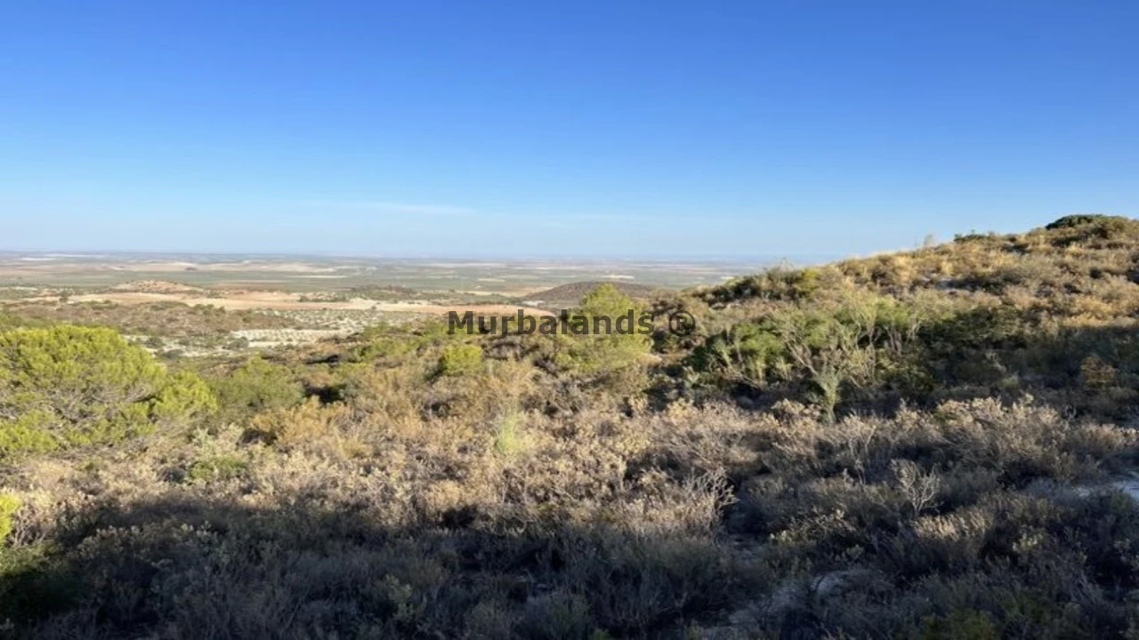 Foto de un terreno o una obra parada para mostrar en el detalle del inmueble