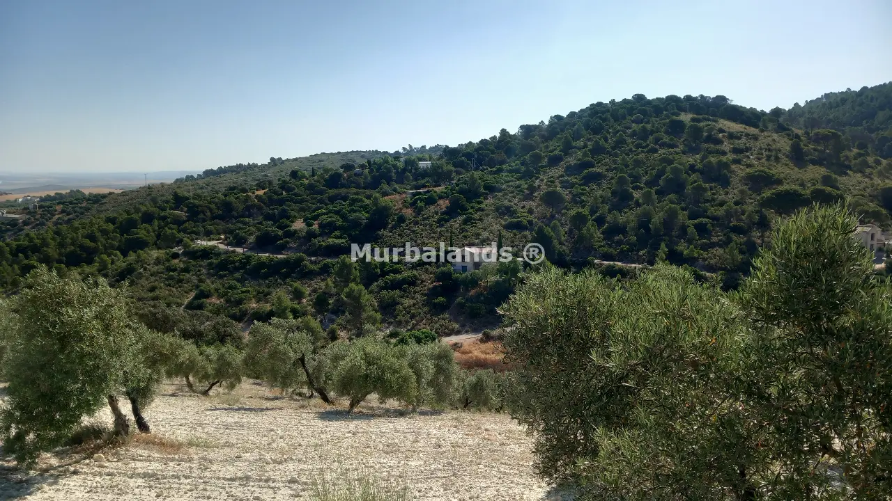 Foto de un terreno o una obra parada para mostrar en el detalle del inmueble
