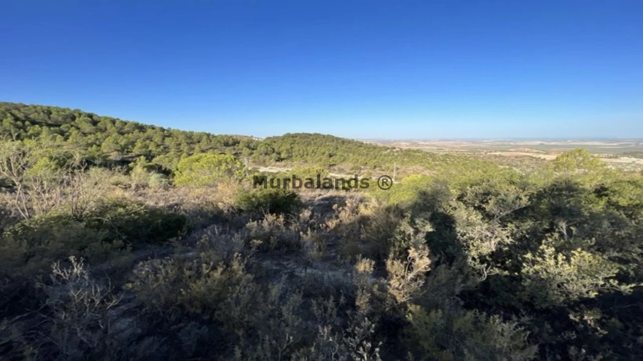 Foto de un terreno o una obra parada para mostrar en el detalle del inmueble
