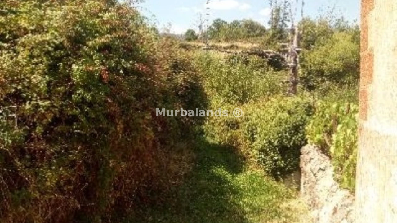Foto de un terreno o una obra parada para mostrar en el detalle del inmueble