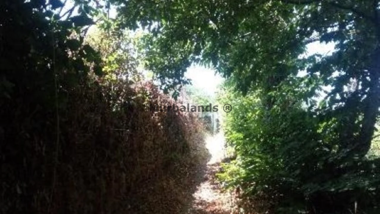 Foto de un terreno o una obra parada para mostrar en el detalle del inmueble