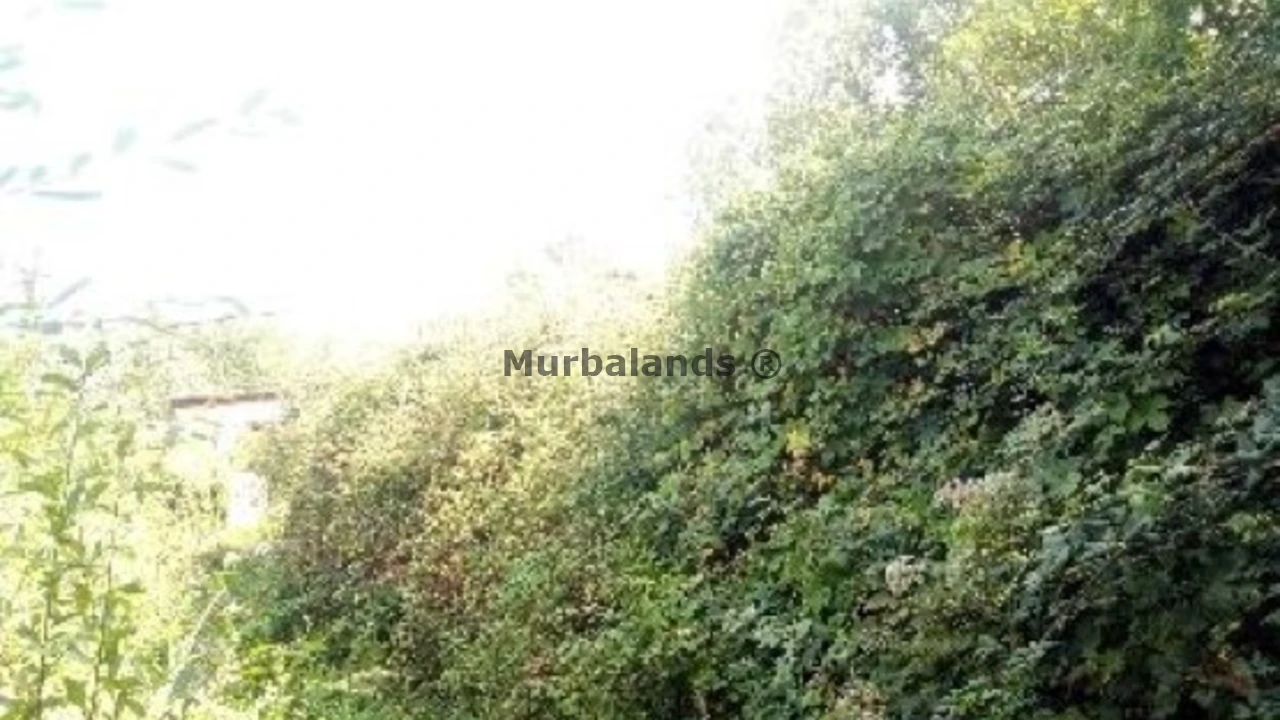 Foto de un terreno o una obra parada para mostrar en el detalle del inmueble
