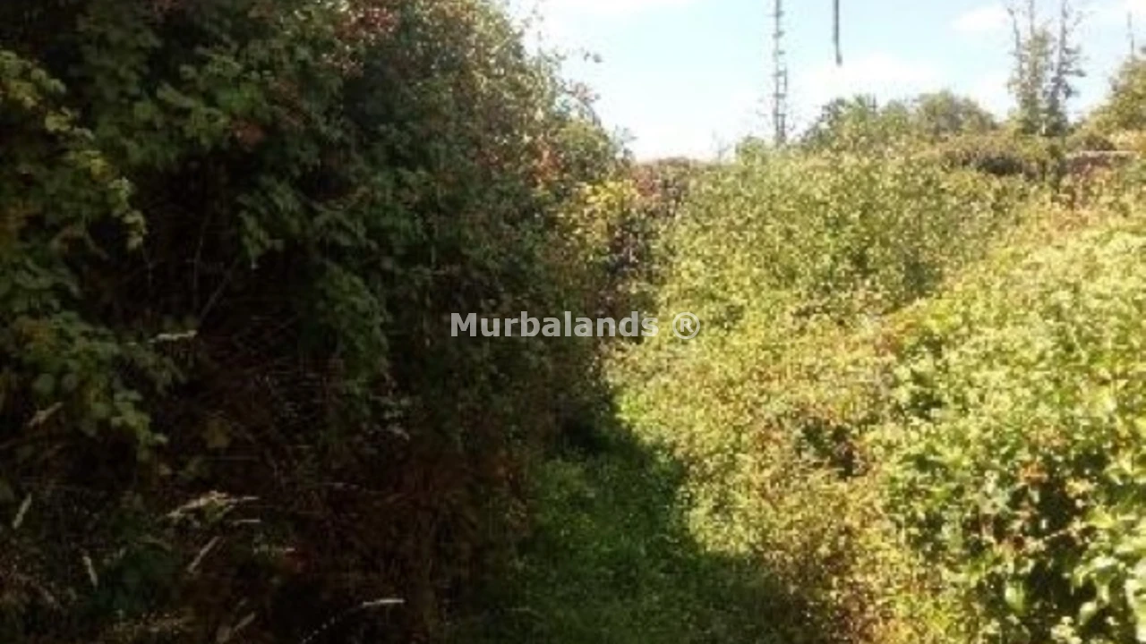 Foto de un terreno o una obra parada para mostrar en el detalle del inmueble