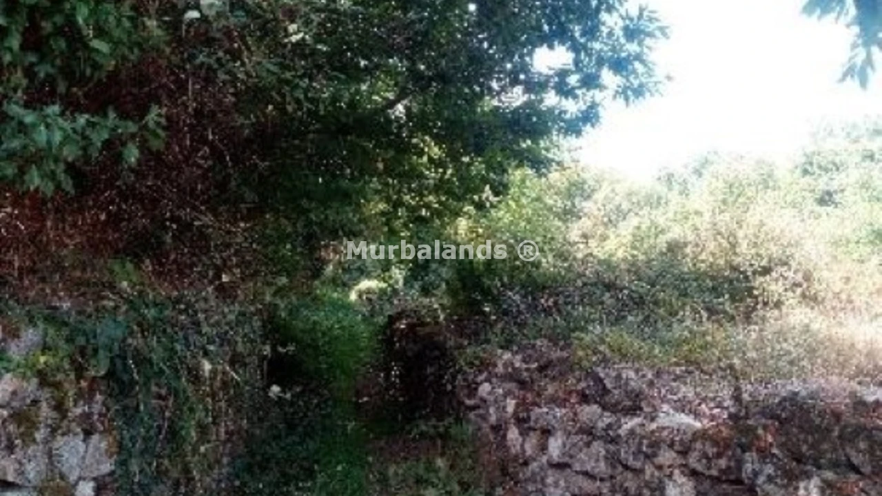 Foto de un terreno o una obra parada para mostrar en el detalle del inmueble