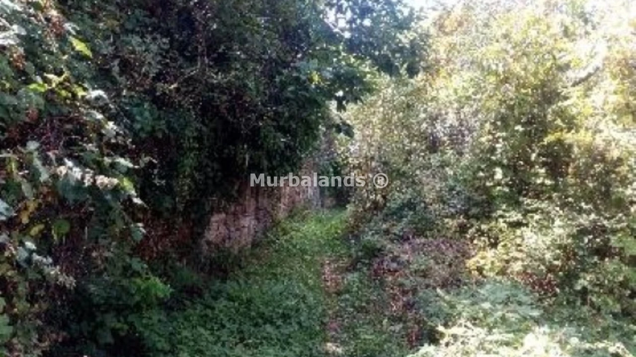 Foto de un terreno o una obra parada para mostrar en el detalle del inmueble