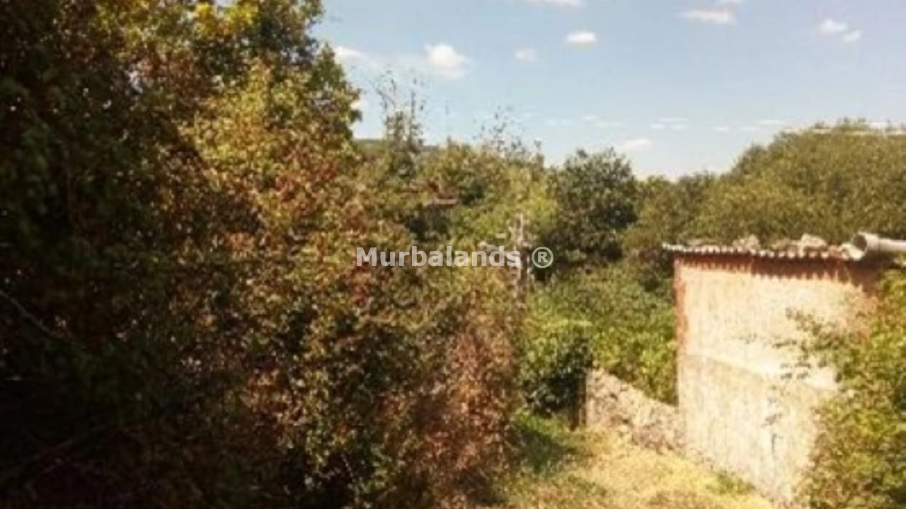 Foto de un terreno o una obra parada para mostrar en el detalle del inmueble