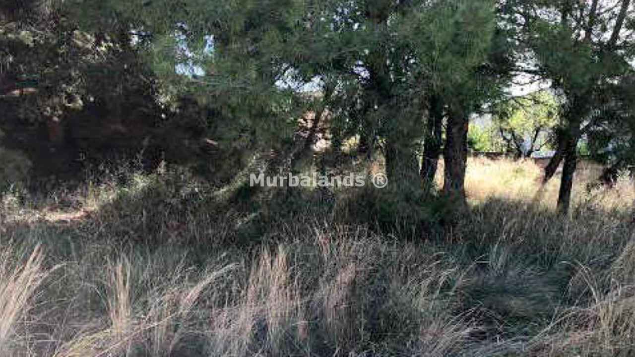 Foto de un terreno o una obra parada para mostrar en el detalle del inmueble